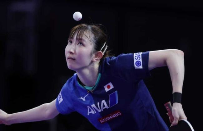 往往掩着 往往掩着